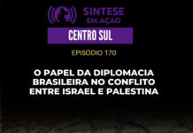 O papel da diplomacia brasileira no conflito entre Israel e Palestina | Sintese em Ação – Centro Sul