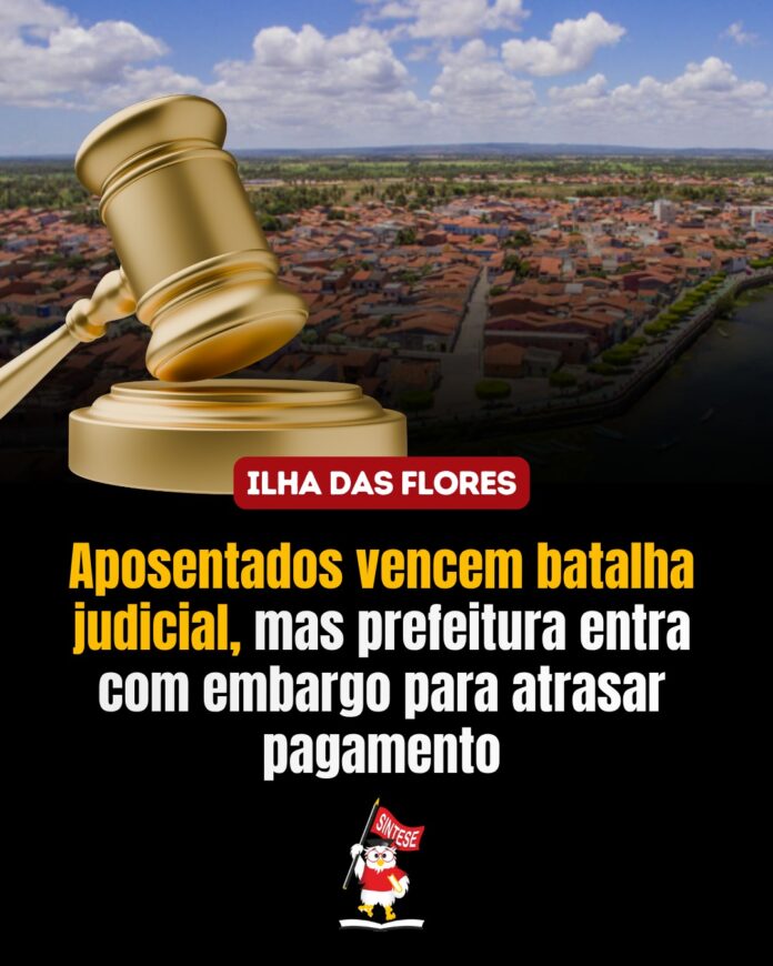 WhatsApp Image 2025-10-28 at 12.01.31